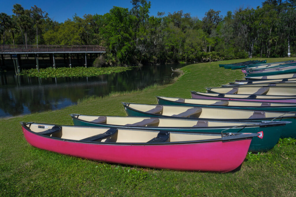 Wekiva Falls Community Amenities - Park 03