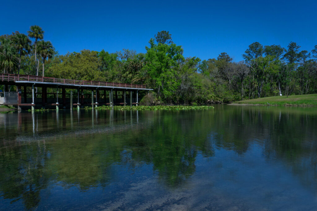 Wekiva Falls Community Amenities - Park 04