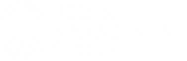 Roots Management Group